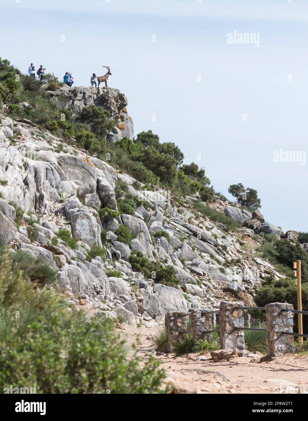 Mirador, punto di vista dalle montagne di Juanar, con la statua di bronzo di stambecco spagnolo, Andalusia, Spagna. Foto Stock