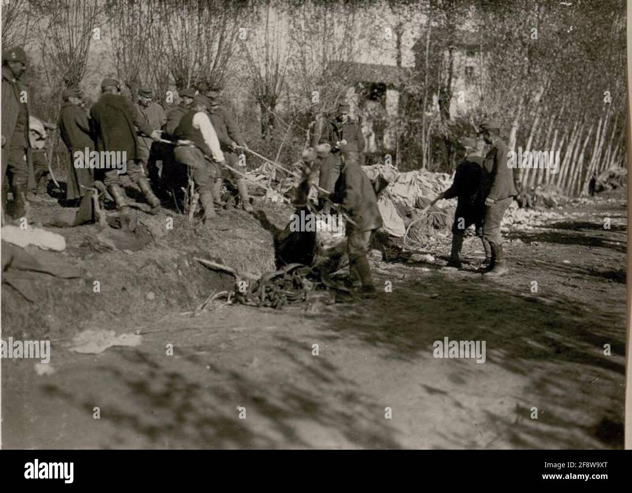 I catavers italiani del cavallo sono liberati dalla strada. . Foto Stock