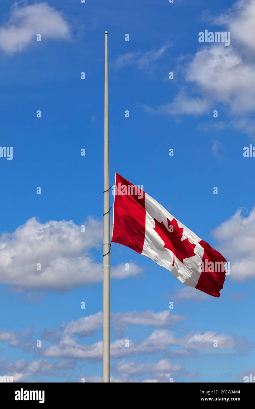 Bandiera canadese di Maple Leaf sul flagpole che vola a mezzo palo. Foto Stock