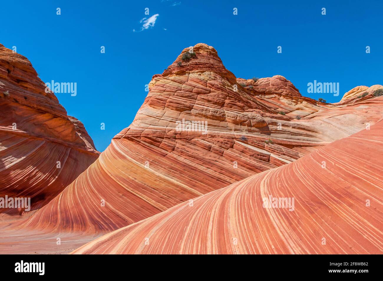 Il Wave National Park in Arizona USA Foto Stock