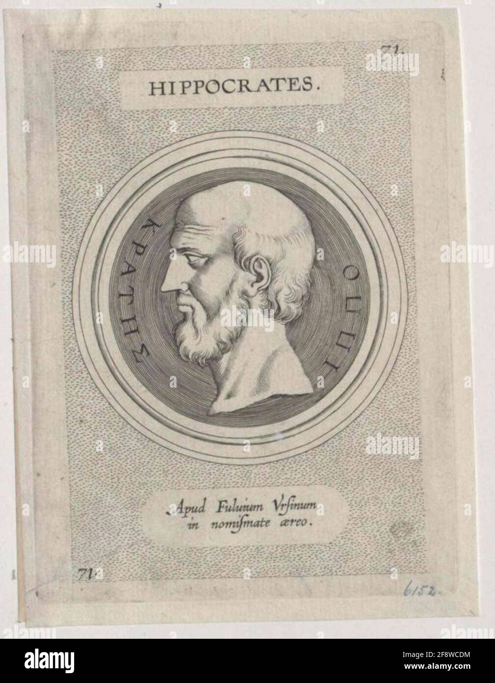 Hippokrates . Foto Stock