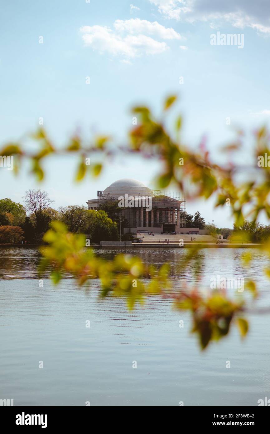 Il Jefferson Memorial Behind Cherry Trees, Washington, DC. Foto Stock