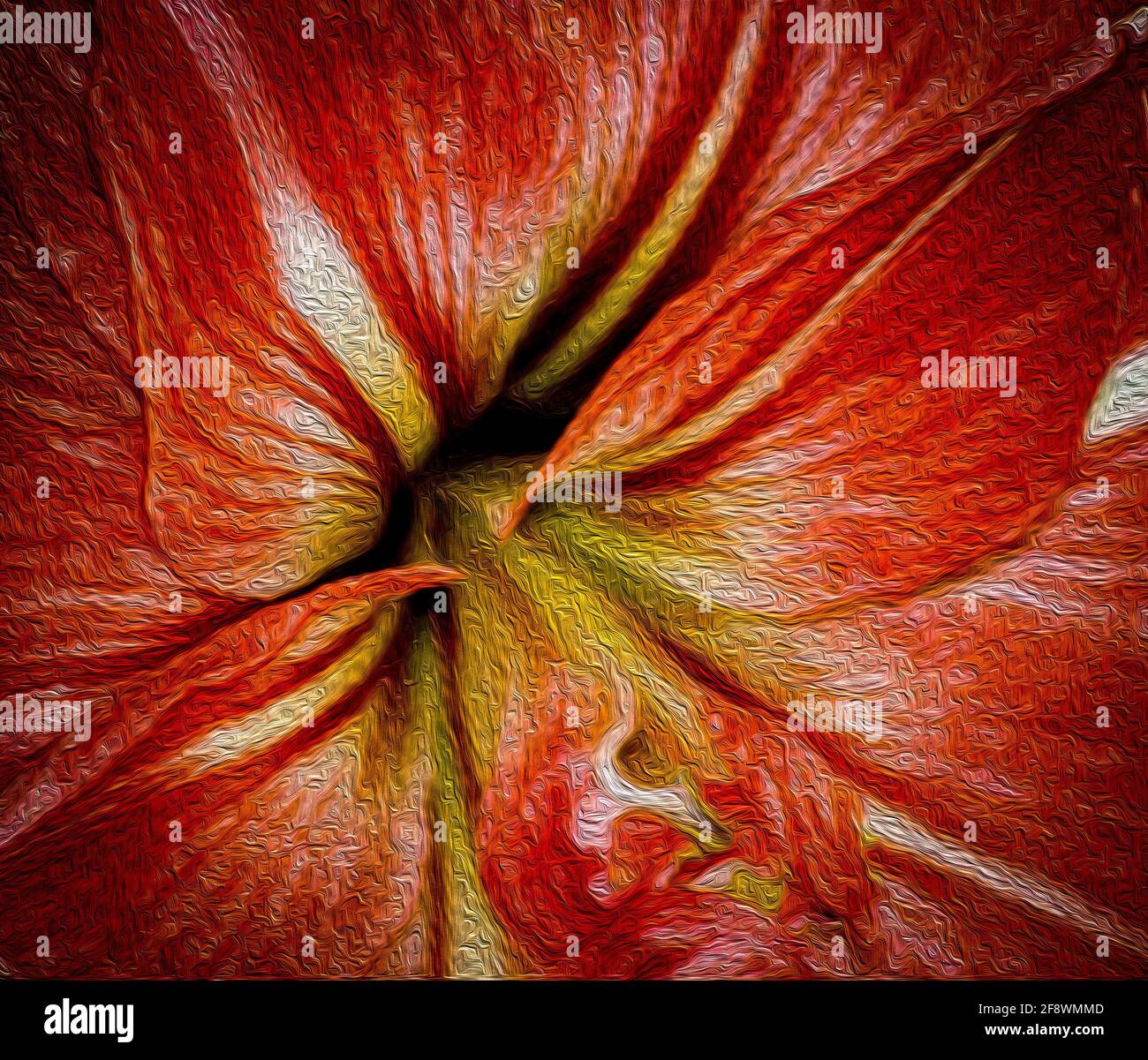 particolare di una fioritura di amaryllis Foto Stock