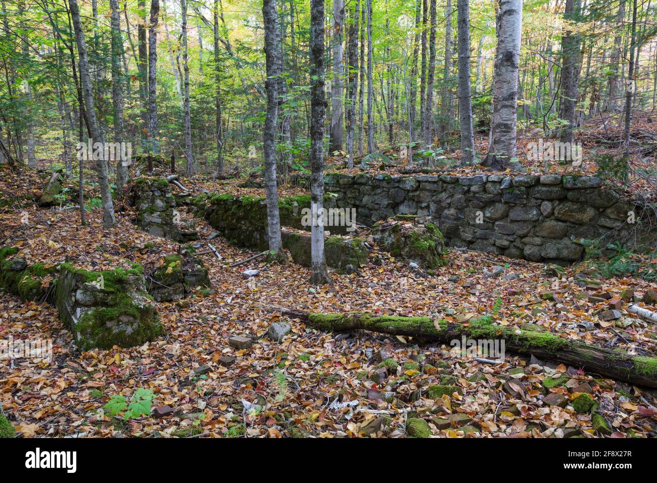 Resti del Mulino di Tripoli abbandonato a Livermore, nel New Hampshire durante i mesi autunnali. Di proprietà di Charles B. Henry, figlio del barone di legno J.E. Enrico Foto Stock