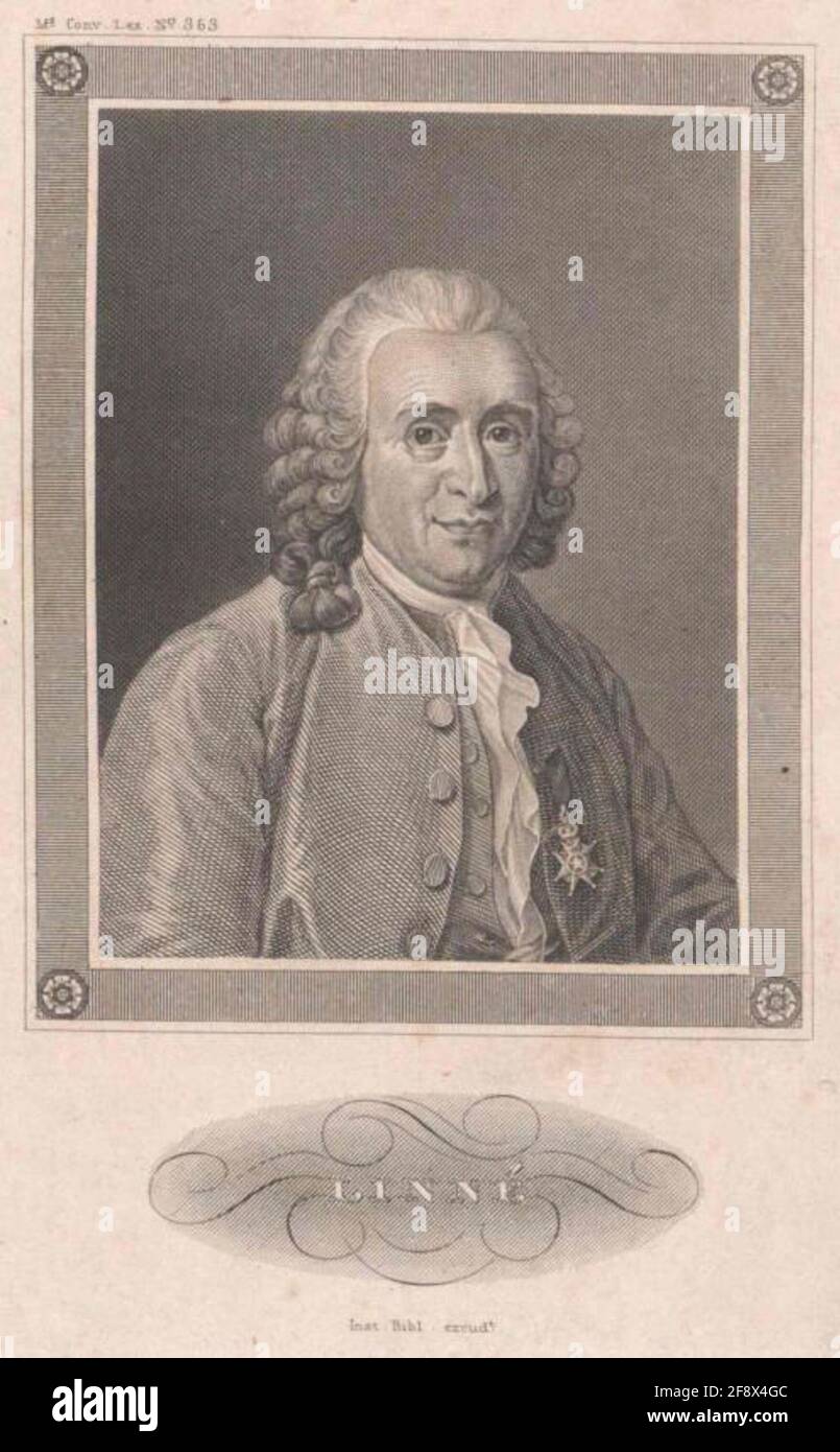 Linné, Carlo di. Foto Stock