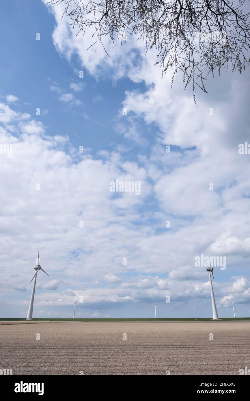Azienda eolica con mulini a vento lungo la diga sulla costa Del Ijsselmeer in una bella giornata limpida i Paesi Bassi Flevoland Noordoostpolder e beautu Foto Stock
