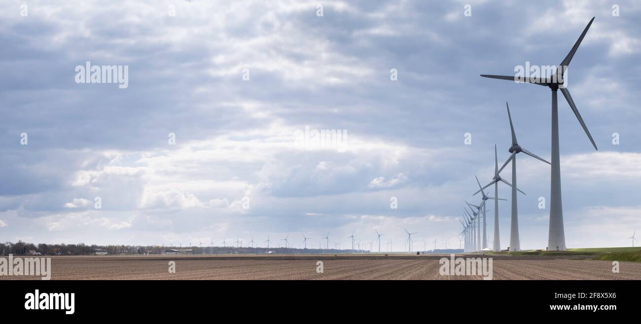 Azienda eolica con mulini a vento lungo la diga sulla costa dell'Ijsselmeer nel Noordoostpolder con un bel cielo nuvoloso. Immagine ampia Foto Stock