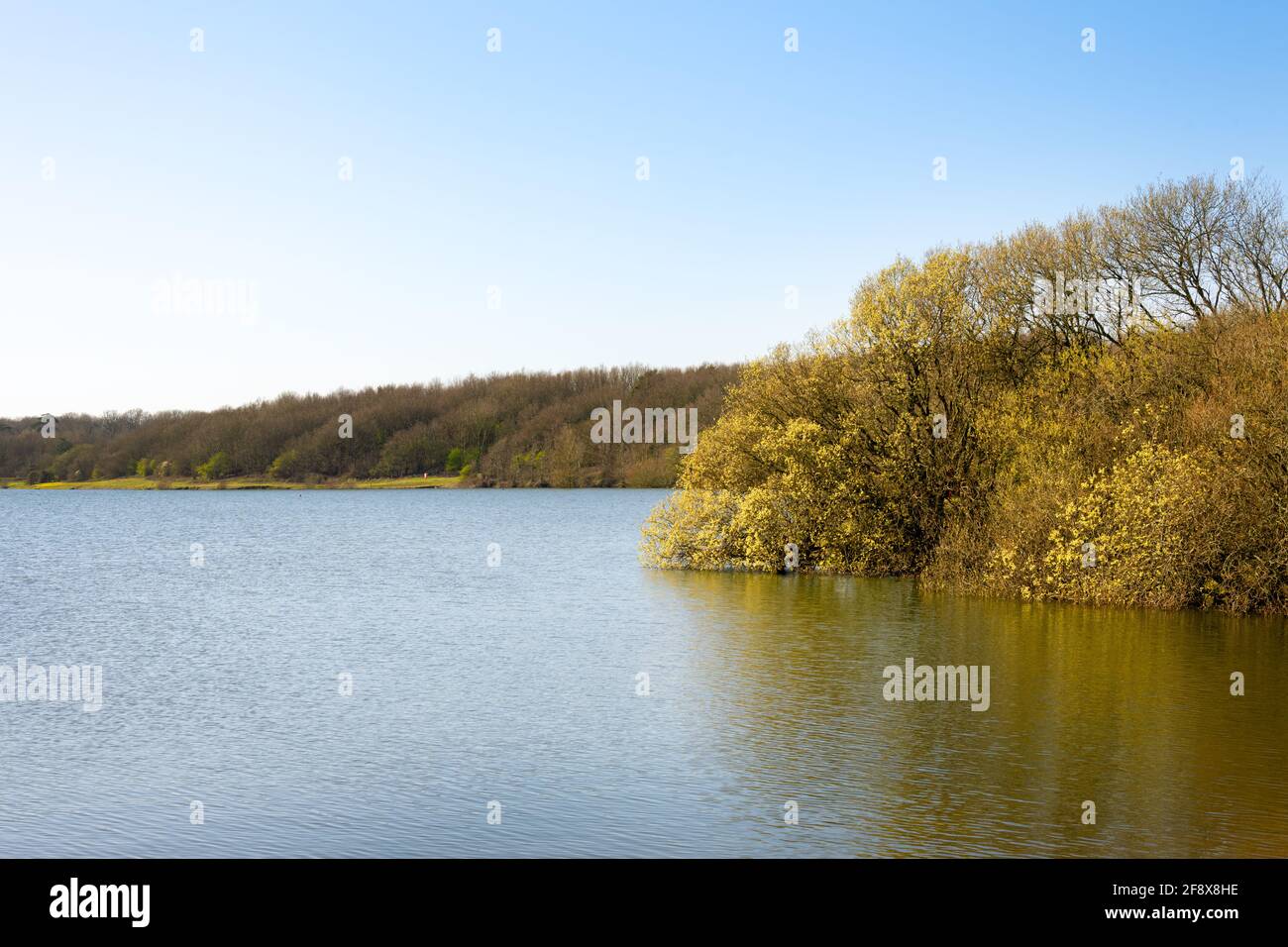 Vista del lago artificiale di Arlington in un pomeriggio di primavera soleggiato, in Inghilterra Foto Stock