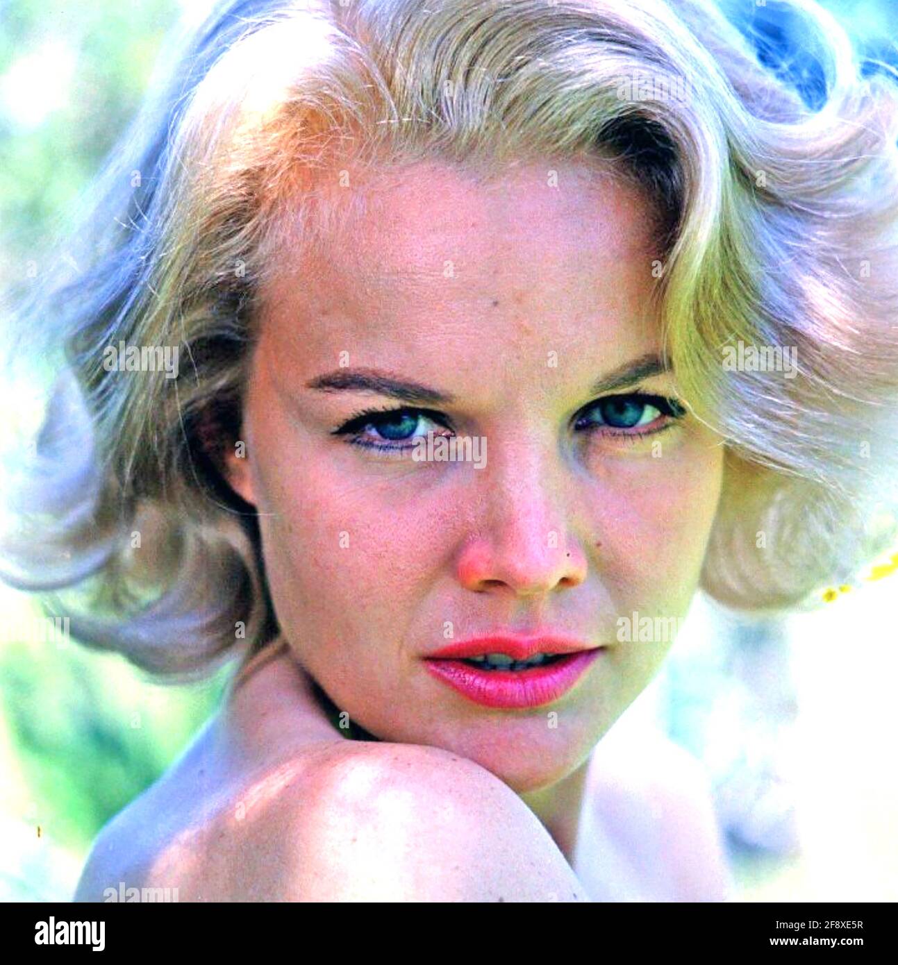 CARROLL BAKER American palcoscenico, film e attrice TV circa 1960 Foto Stock