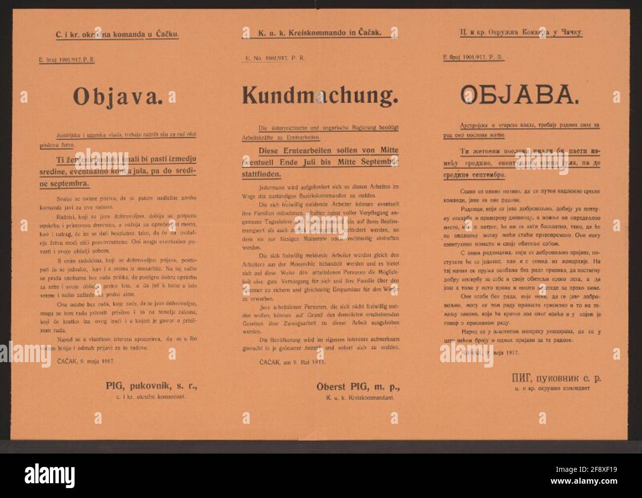 Lavoratori per la raccolta - Annuncio - Čačak - Poster multilingue lavoro di raccolta da metà luglio a metà settembre 1917 - richiesta di segnalazione chiunque - possibile ritirare la famiglia - approvvigionamento - disoccupati che non riferiscono, potrebbero essere eliminati al lavoro forzato -? A? AK, il ​​9 maggio 1917 - Colonel Pig, MP, KUK County Commander - K.U.K. County Command in? R? AK - N. E. 1901/917. P.R. Foto Stock