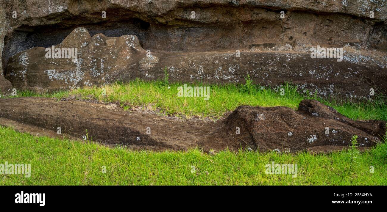 Scultura moai, cava di Rano Raraku, Isola di Pasqua, Cile Foto Stock