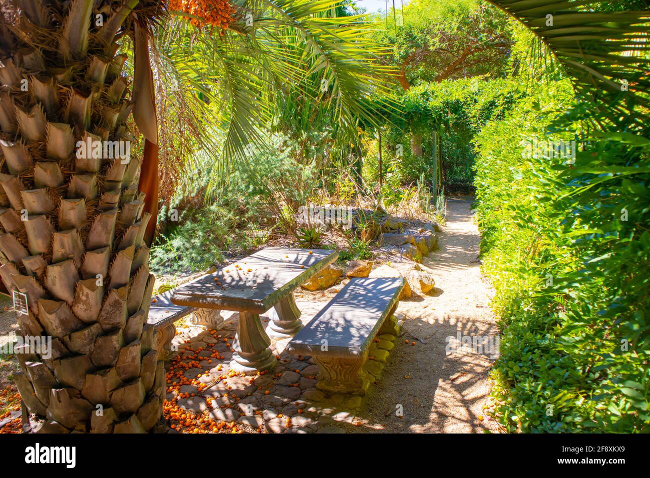 Stellenbosch University Botanical Garden, Città del Capo, Sud Africa 08-04-2021 lussureggiante e tranquillo giardino con panchine all'aperto e tavolo. Foto Stock