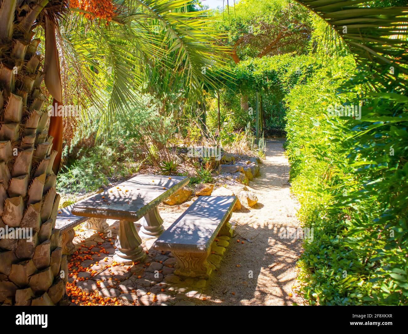 Stellenbosch University Botanical Garden, Città del Capo, Sud Africa 08-04-2021 lussureggiante e tranquillo giardino con panchine all'aperto e tavolo. Foto Stock