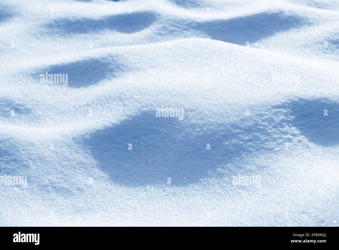 Fresco pulito bianco neve fondo texture. Sfondo invernale con fiocchi di neve ghiacciati e tumuli di neve. Grumi di neve. Dettagli del paesaggio stagionale. Foto Stock