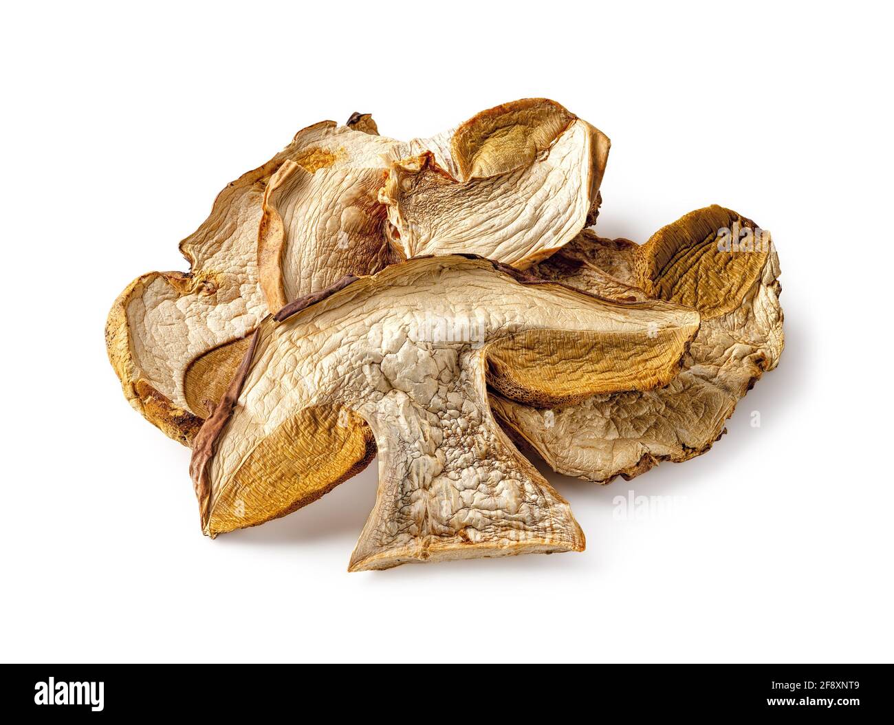 Fette secche di porcini isolate su sfondo bianco. Fungo di foresta commestibile con sapore di funghi intenso. Pila di fette di boletus edulis di testa marrone essiccate. Foto Stock