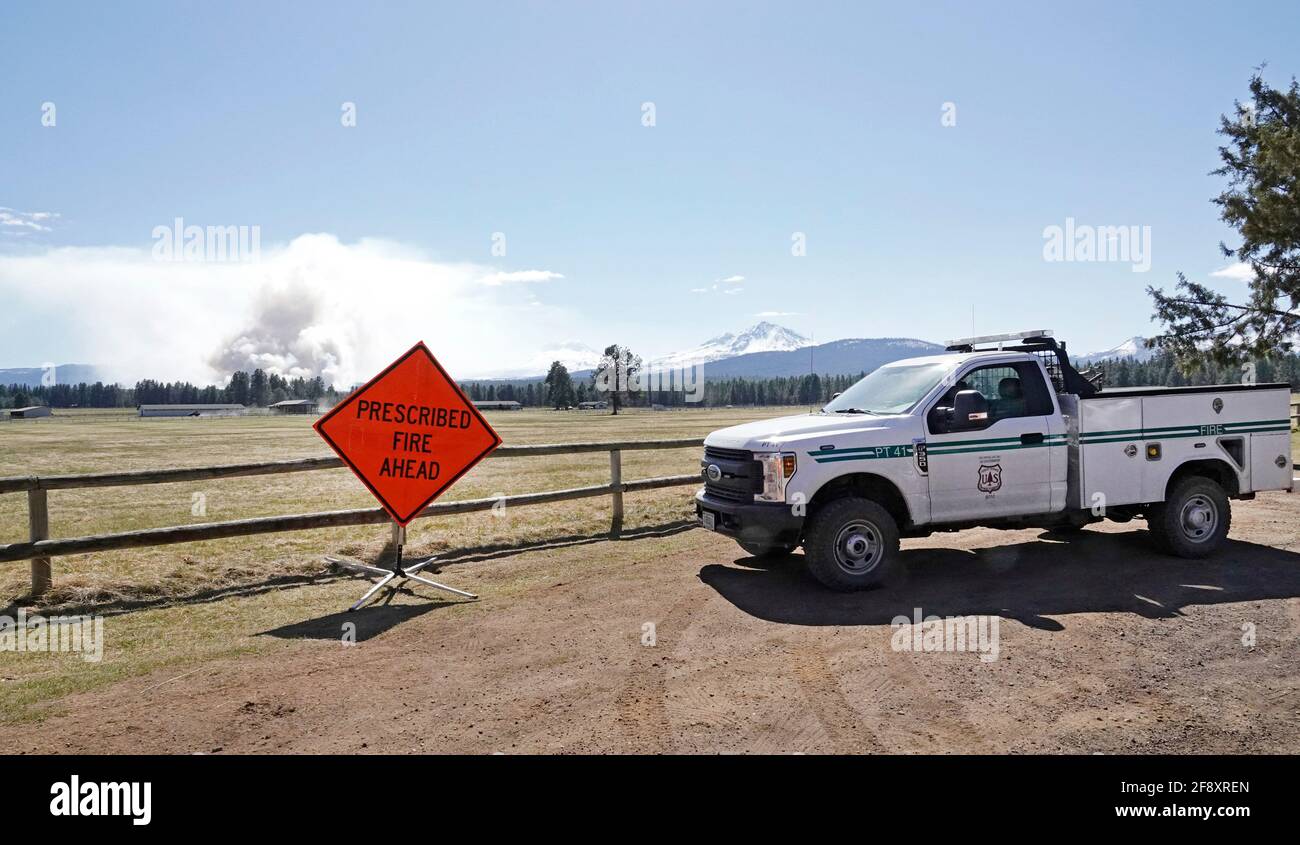 Una massiccia bruciatura controllata, o prescritta (proscritta), nella Deschutes National Forest vicino alla città di Sisters, Oregon, brucia scottature e altro f Foto Stock