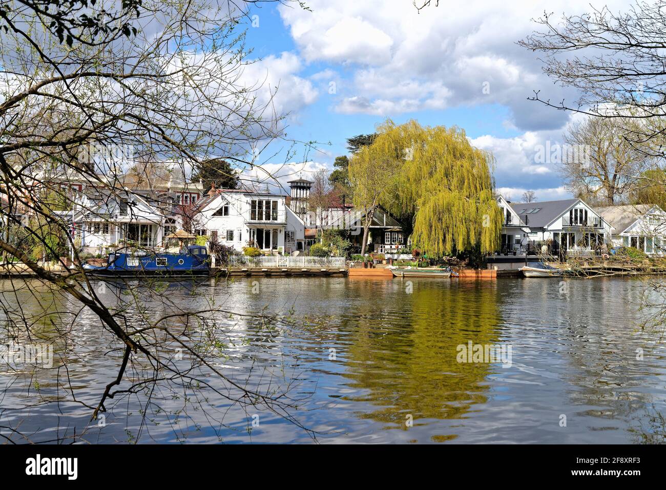 Sunbury Court Island vista dal lato Walton del Fiume Tamigi in una soleggiata giornata primaverile Surrey Inghilterra UK Foto Stock