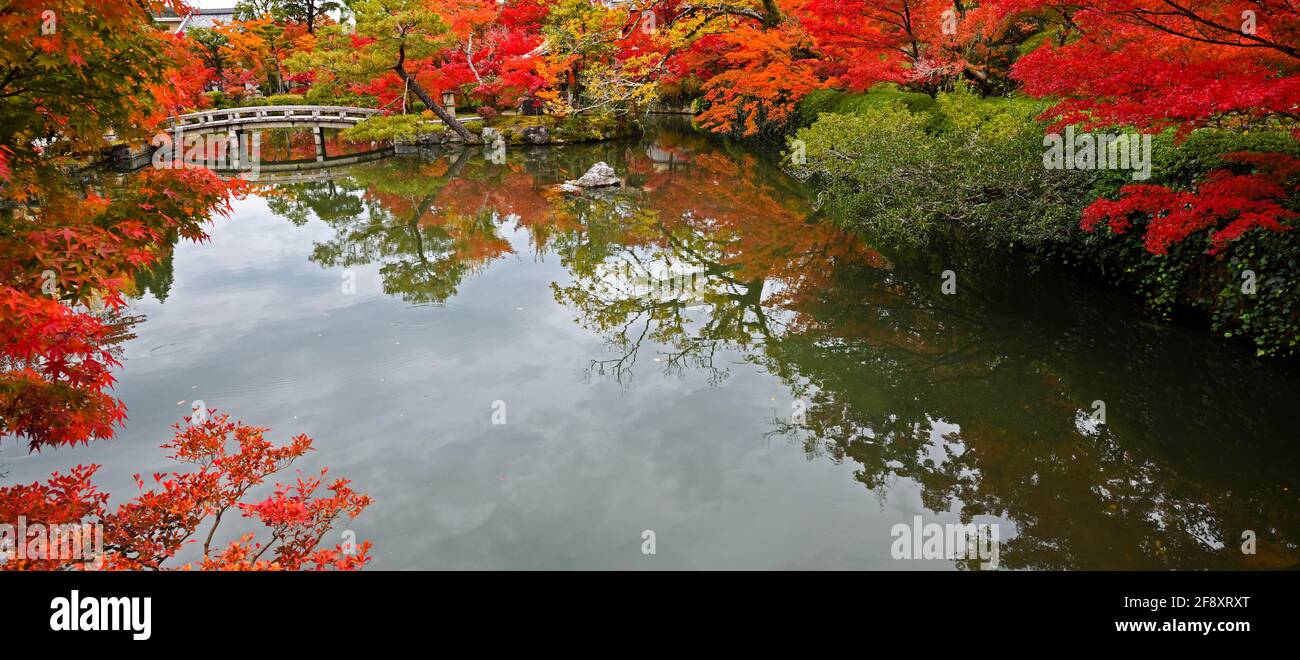 Foglie d'acero giapponesi in colore autunnale che si riflettono nello stagno, Tempio Buddista Eikan-do, Kyoto, Giappone Foto Stock