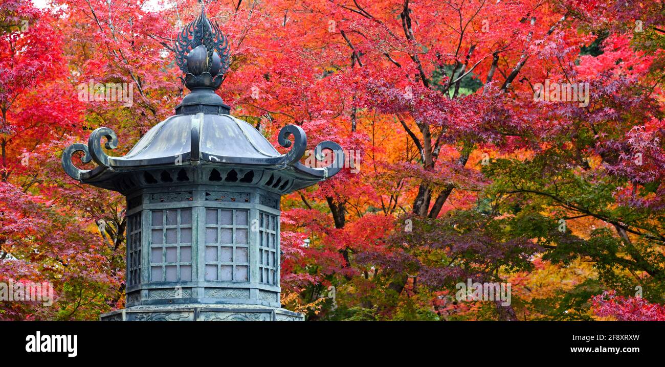 Architettura in acero giapponese di colore autunnale e in stile giapponese, Tempio Buddista Eikan-do, Kyoto, Giappone Foto Stock