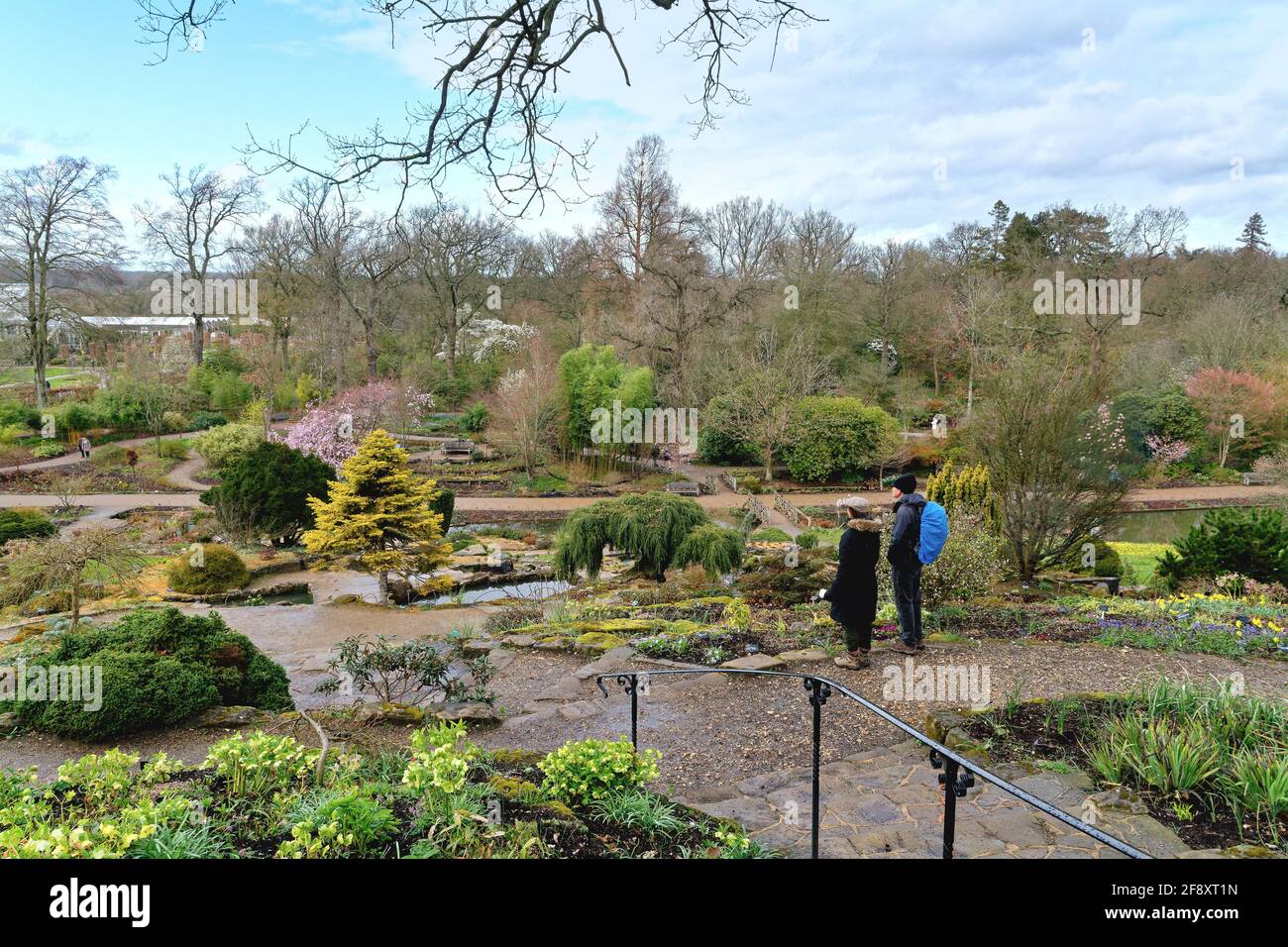 Primavera nei giardini della Royal Horticultural Society a Wisley Surrey Inghilterra Regno Unito Foto Stock