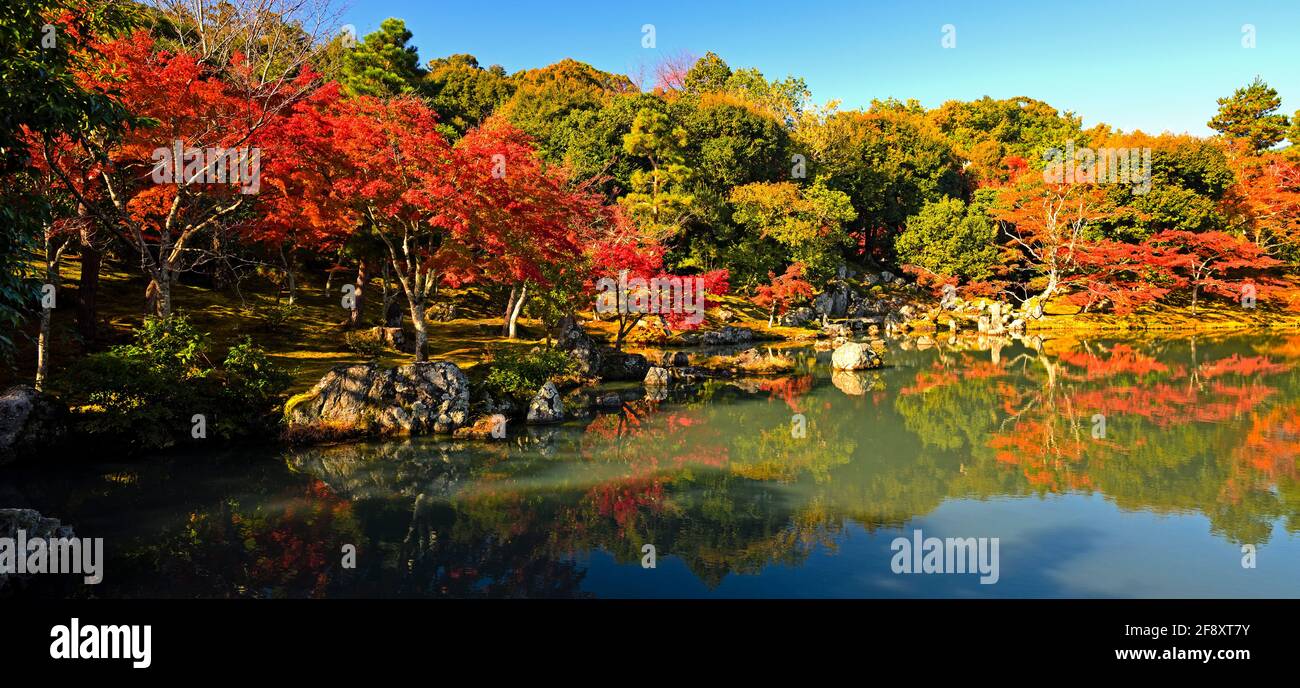 Foglie d'acero giapponesi in colore autunnale e laghetto, buddista Tendryu-ji , Kyoto, Giappone Foto Stock