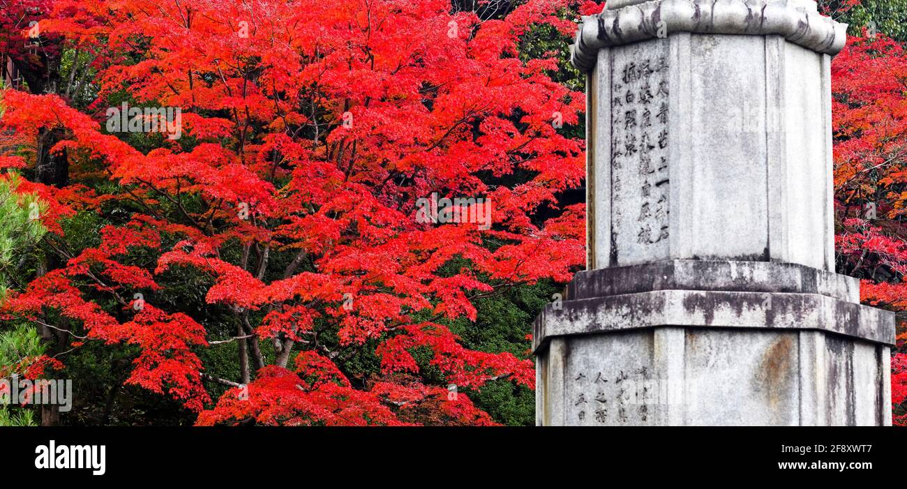 Foglie d'acero giapponese in colori autunnali e monumento, Kodai-in Tempio, Kyoto, Giappone Foto Stock