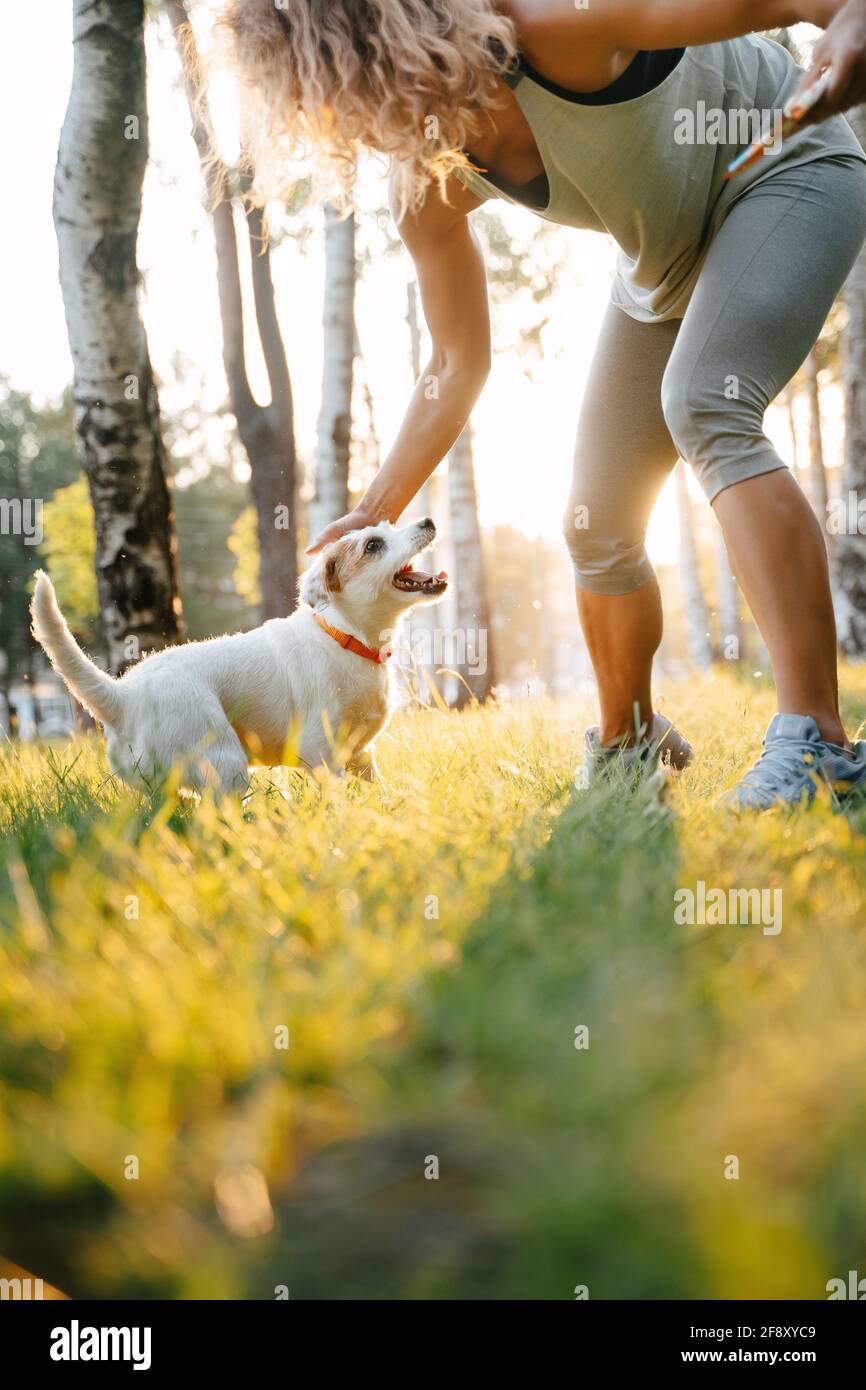 Tempo libero del proprietario con il jack russell animale domestico. Foto Stock