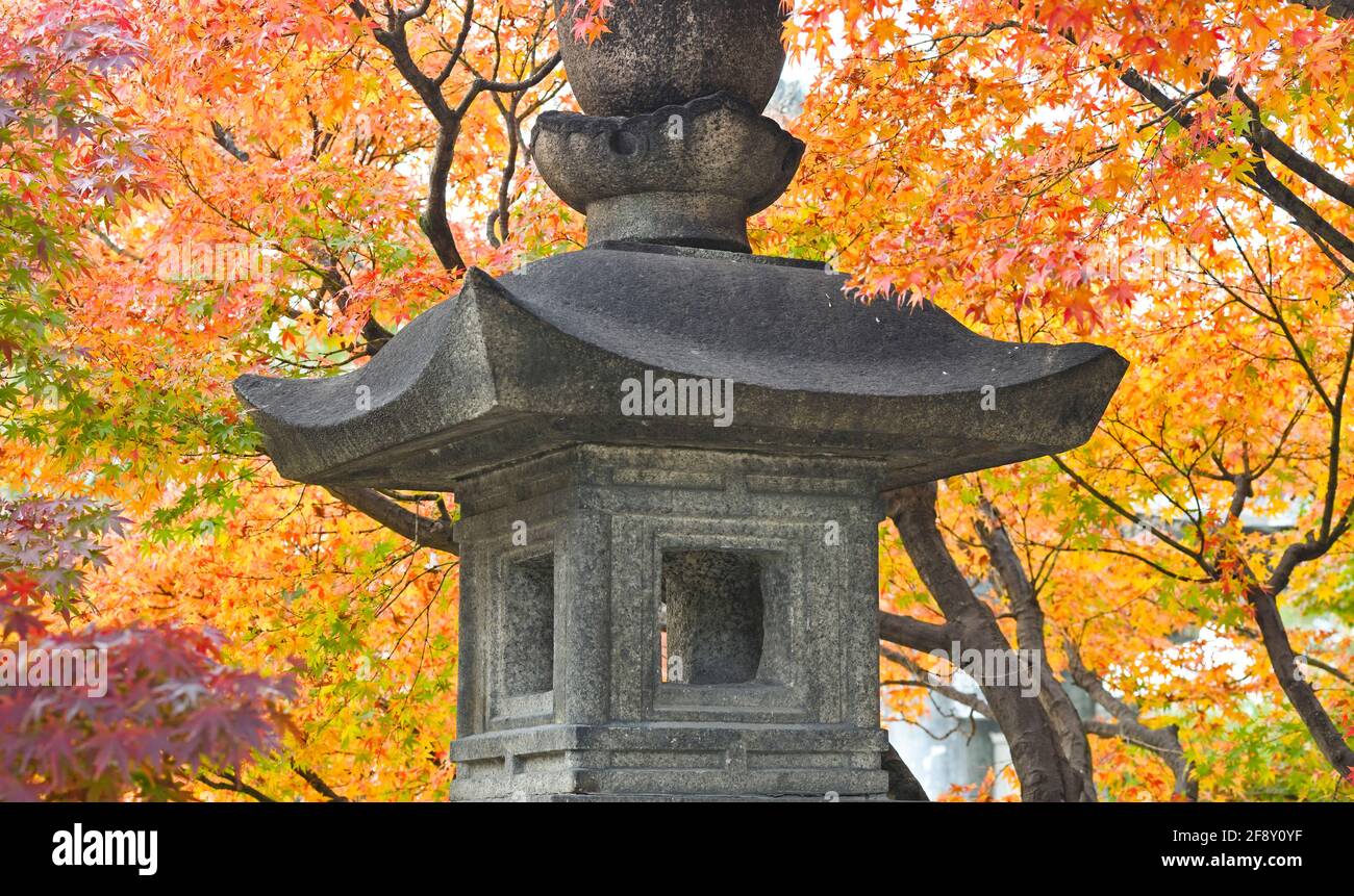 Monumento e alberi di colore autunnale, Osaka Castle Park, Osaka, Giappone Foto Stock