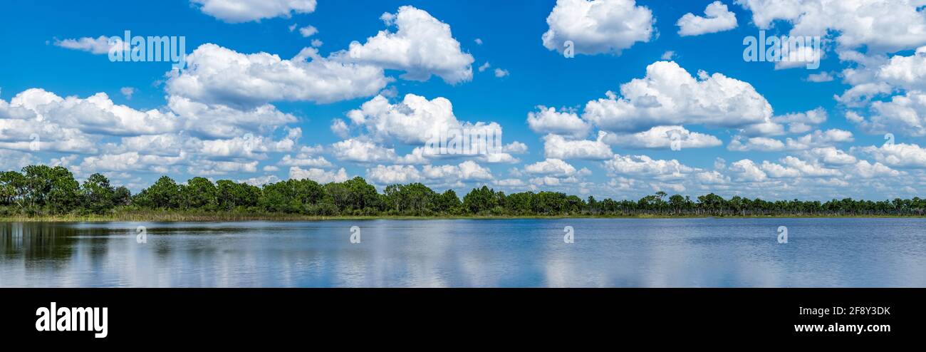 Webb Lake, Fred C. Babcock/Cecil M. Webb Wildlife Management Area, Punta Gorda, Florida, USA Foto Stock