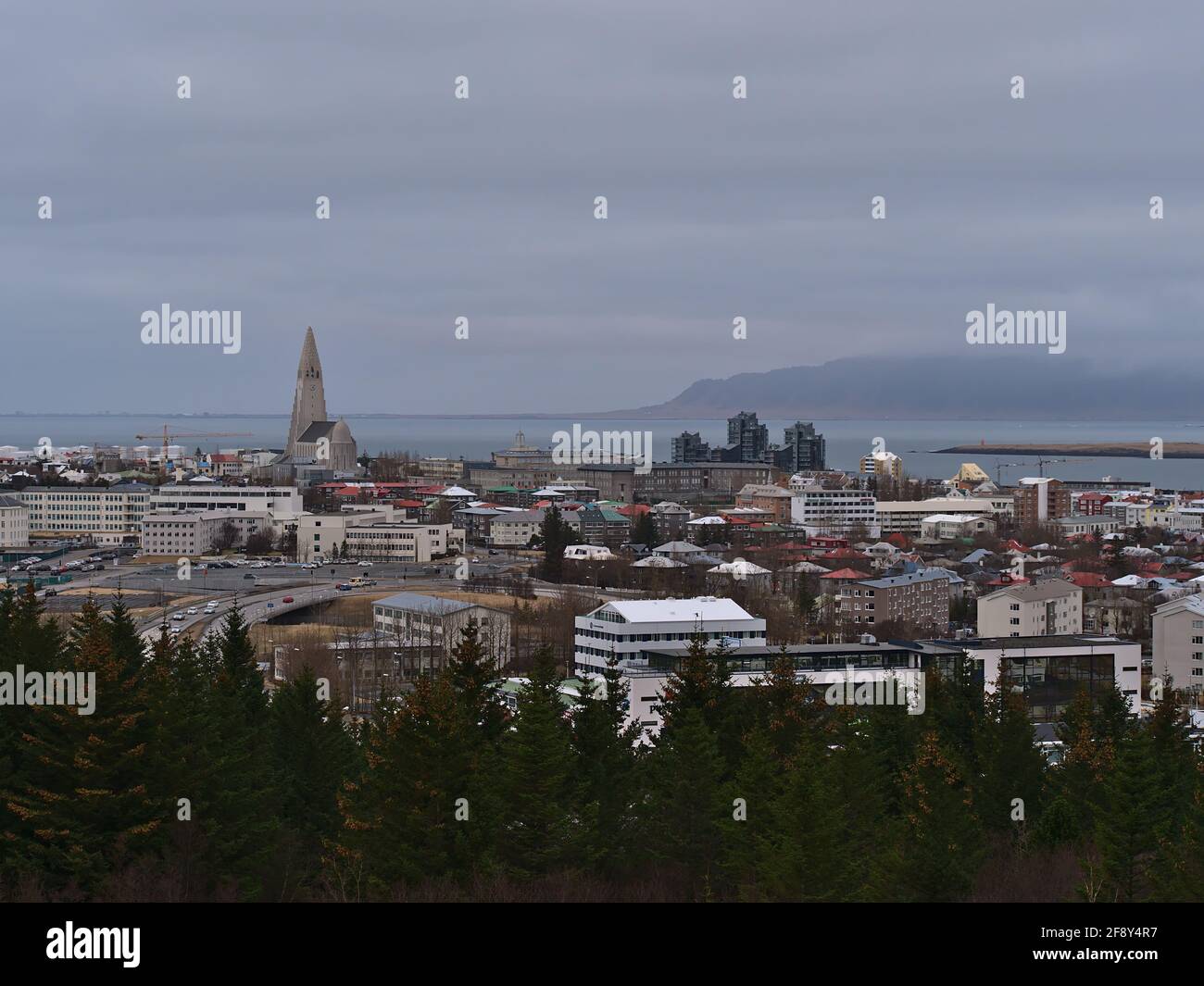 Bella città dello skyline del centro di Reykjavik con la famosa chiesa Hallgrímskirkja, edifici e piccola foresta di conifere di fronte in inverno. Foto Stock