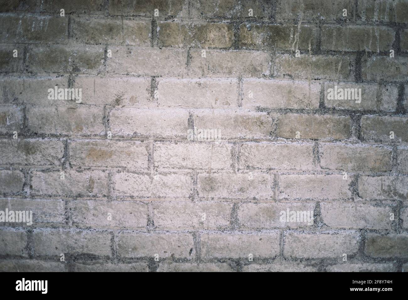 Muro di mattoni di cemento, Pune, Maharashtra, India Foto Stock