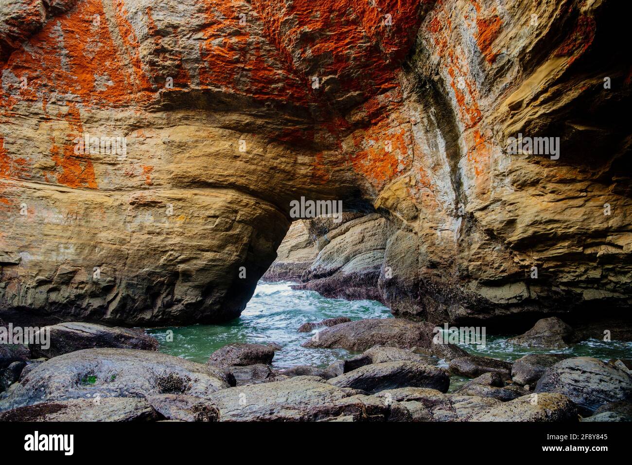 Formazione rocciosa erosa dal mare, Devils Punch Bowl, Newport, Oregon, USA Foto Stock