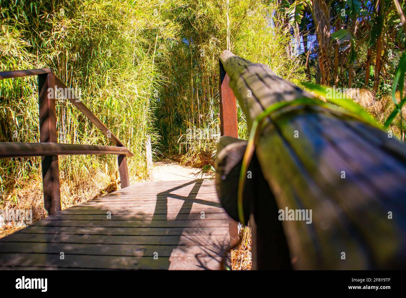 Stellenbosch University Botanical Garden, Città del Capo, Sud Africa 08-04-2021 splendida vista del ponte di legno in un ambiente tranquillo. Foto Stock