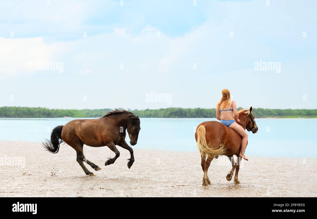 Donna caucasica in costume da bagno è a cavallo sulla spiaggia e un altro cavallo libero è in esecuzione e sta giocando. Femmina e due suoi mare ar Foto Stock