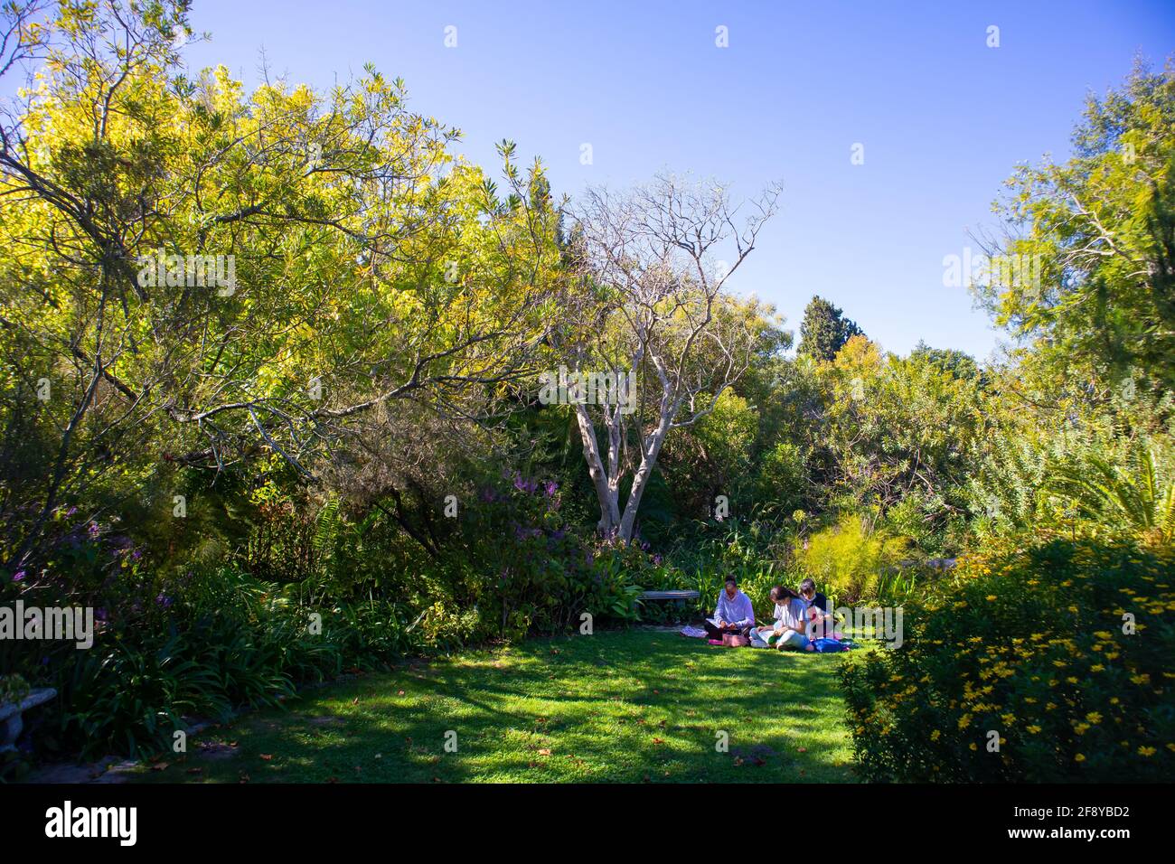 Stellenbosch University Botanical Garden, Città del Capo, Sud Africa 08-04-2021 tranquilli luoghi di studio nel Giardino Botanico dell'Università di Stellenbosch. Foto Stock