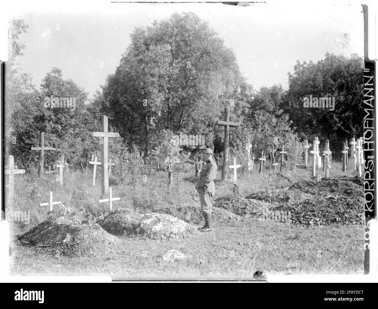 Tombe dei soldati di Uscie Zielona; ca. 20 km a sud-est di Podhajce, Galizia, fotografo: Korps Hofmann. Foto Stock