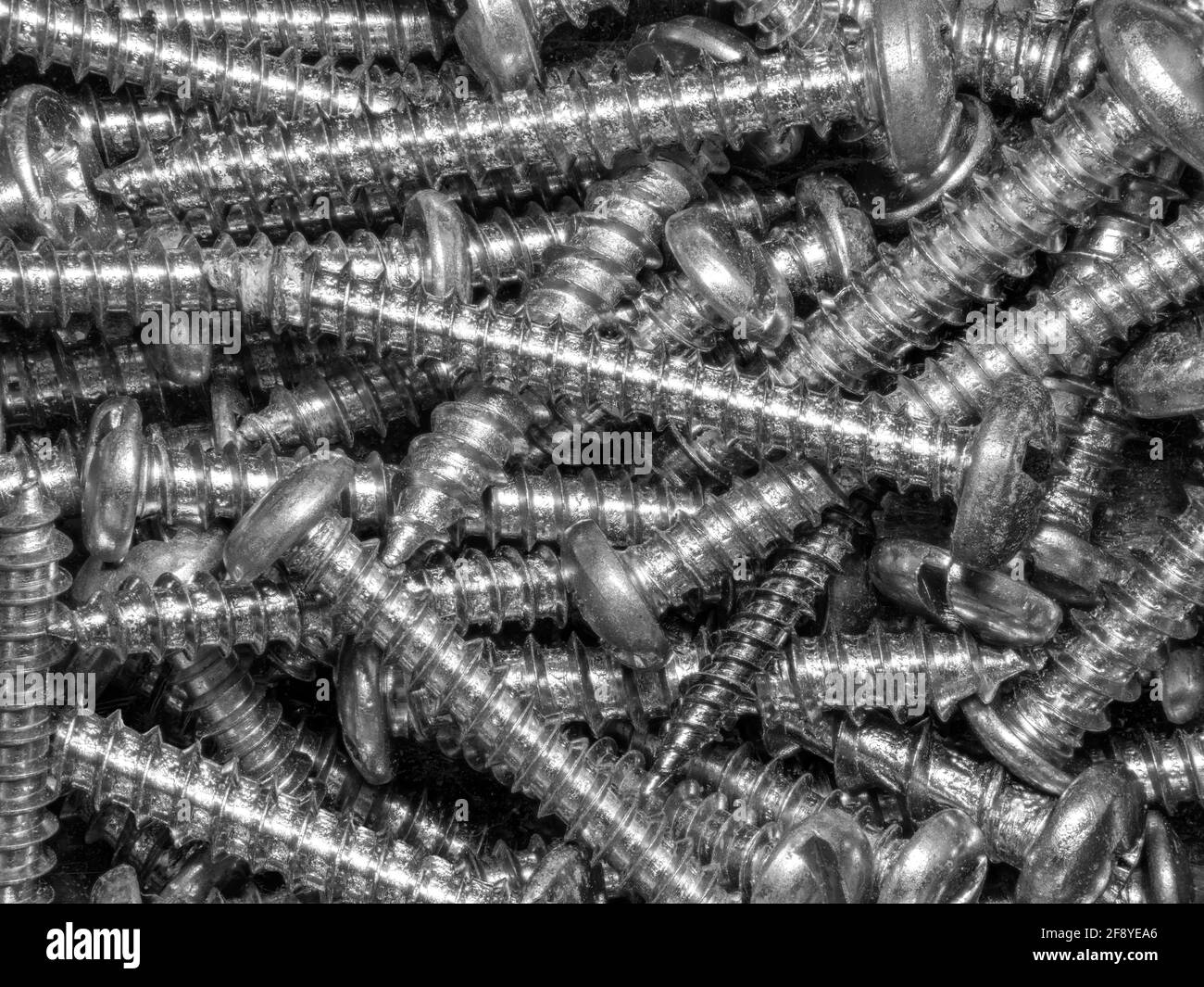 Close-up di viti in metallo Foto Stock
