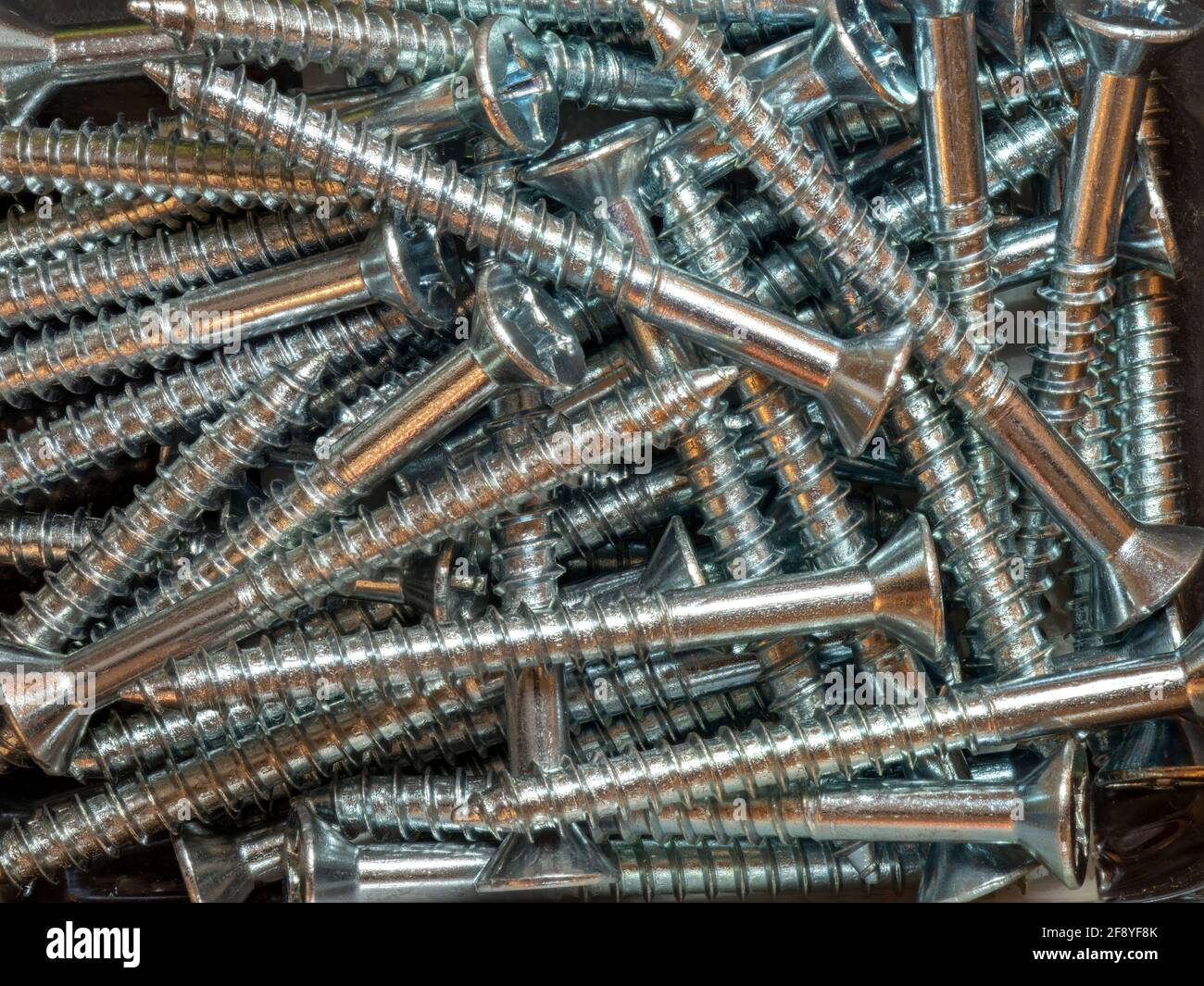 Primo piano delle viti per legno Foto Stock