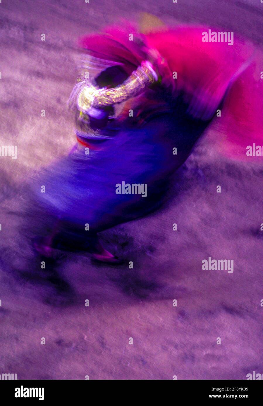 Bull Fight fotografia con movimento sfocato, Città del Messico, Messico Foto Stock