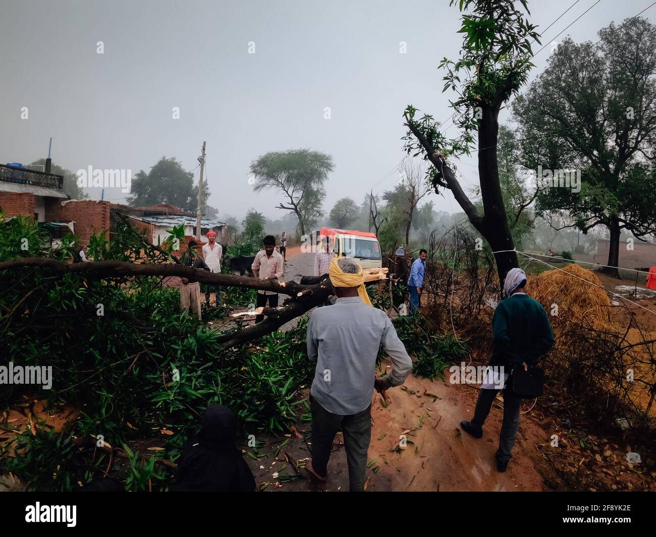 Albero caduto sulla strada a causa della pioggia, Madhya Pradesh, India Foto Stock