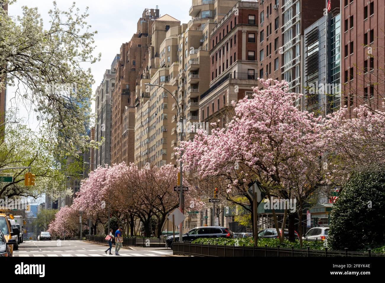 Street Scene, Park Avenue, appartamenti residenziali, New York, Stati Uniti Foto Stock