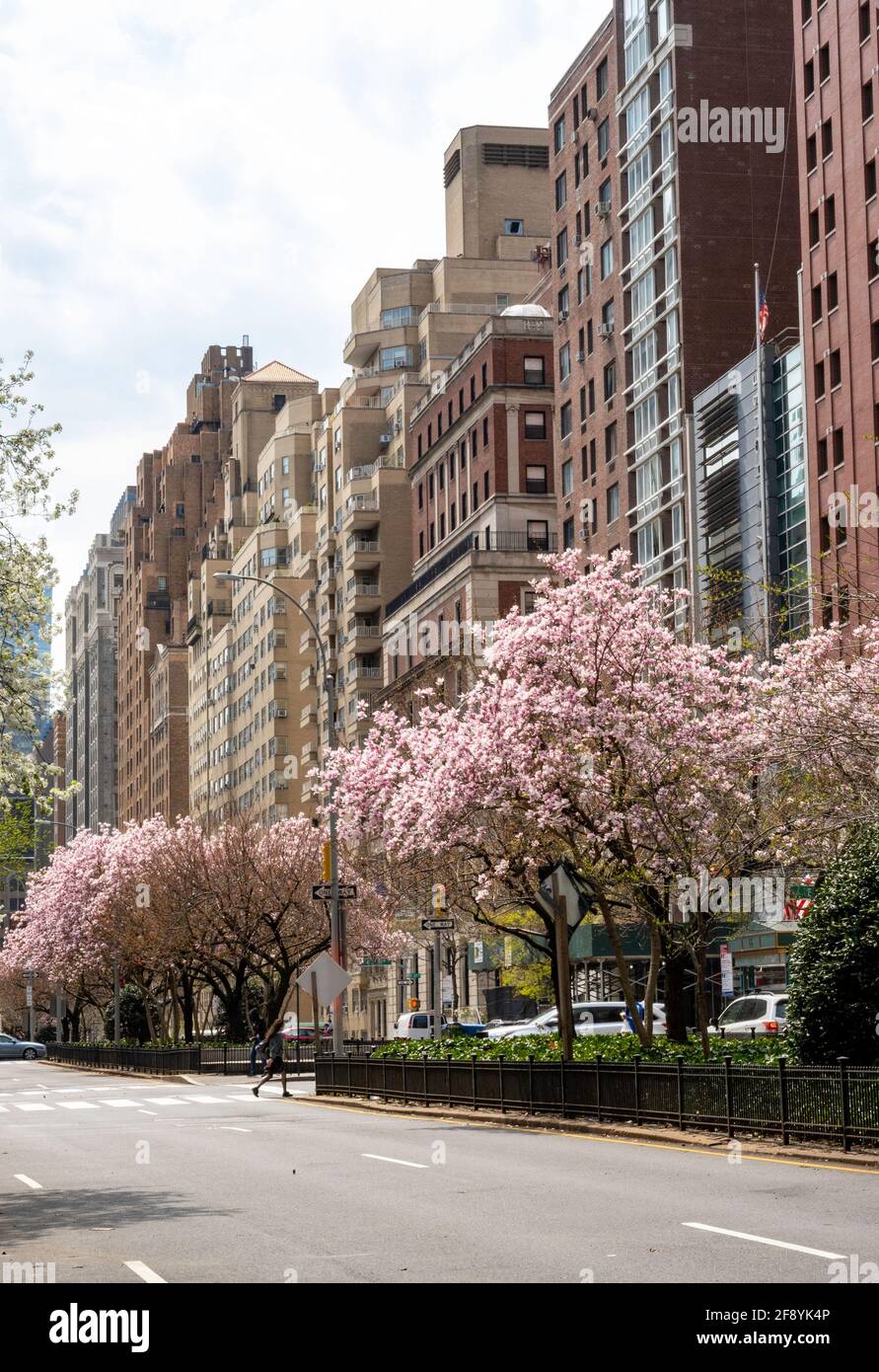 Street Scene, Park Avenue, appartamenti residenziali, New York, Stati Uniti Foto Stock