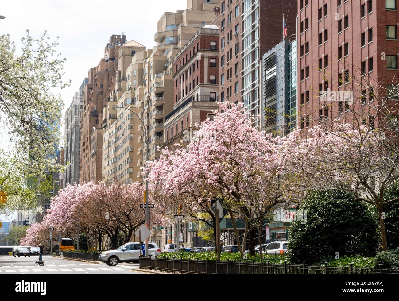 Street Scene, Park Avenue, appartamenti residenziali, New York, Stati Uniti Foto Stock