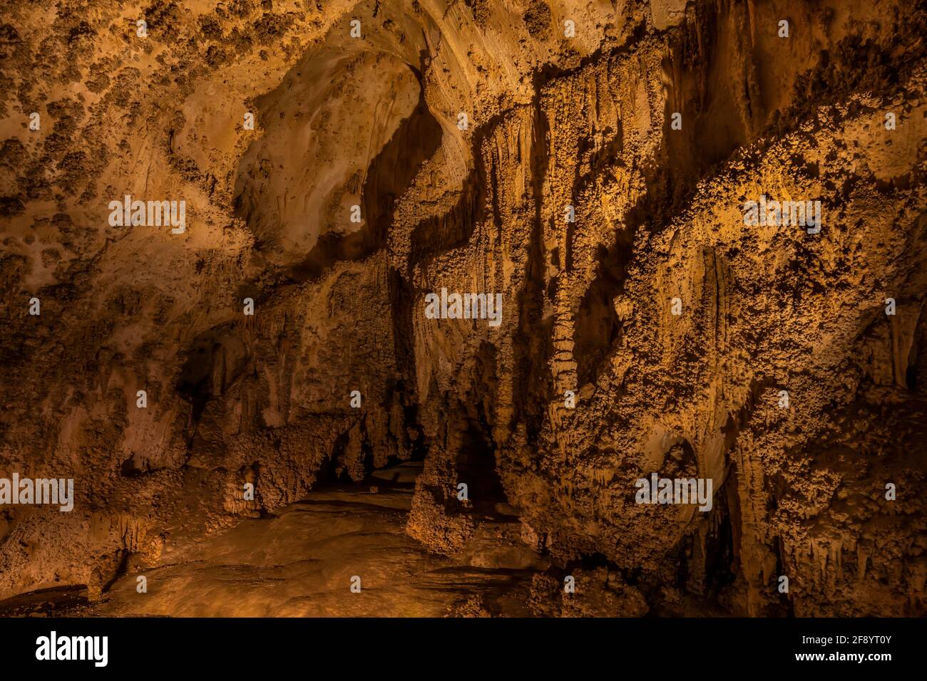 Grotte formazioni lungo il Big Room Trail profondo sotterraneo nel Carlsbad Caverns National Park, New Mexico, Stati Uniti Foto Stock