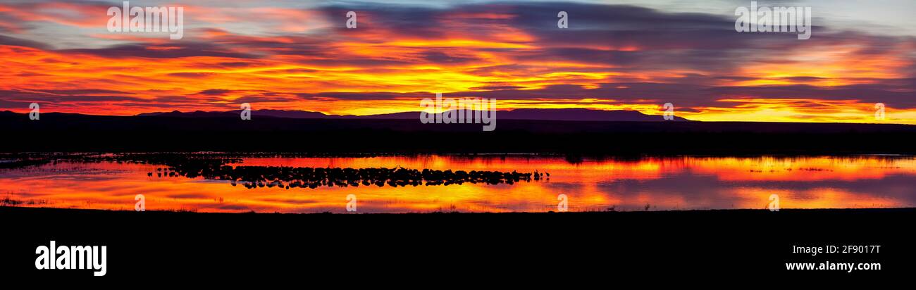 Paesaggio panoramico della Riserva Naturale Nazionale di Bosque del Apache al tramonto, New Mexico, USA Foto Stock