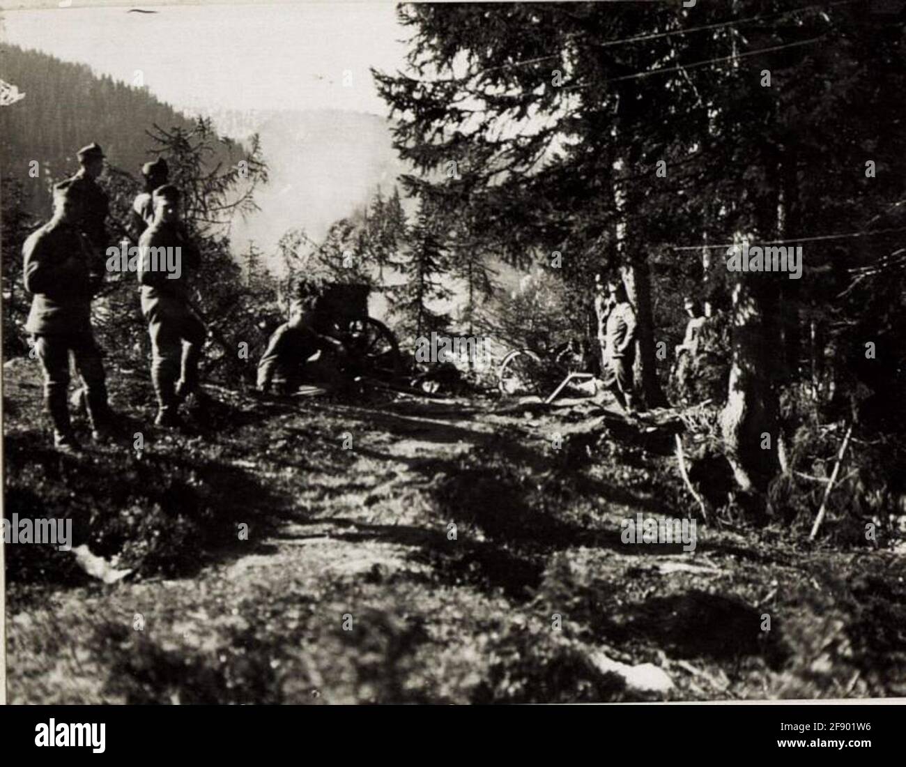 10cm Haifen sull'altopiano di Bambesta. . Foto Stock