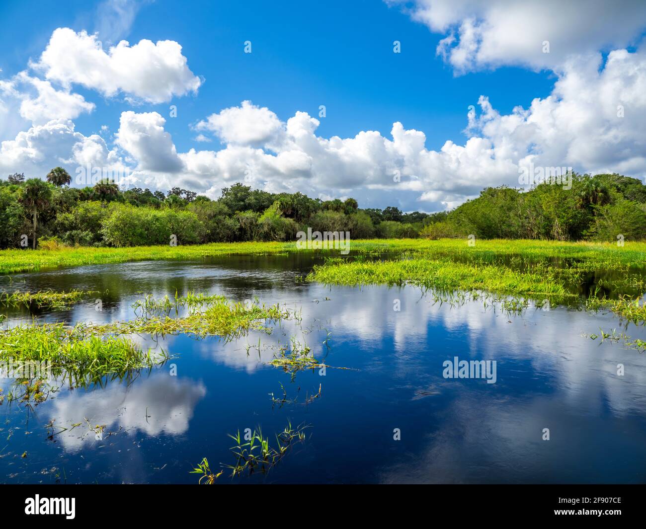 Zona umida e cielo nuvoloso, Myakka River state Park, Sarasota, Florida, Stati Uniti Foto Stock