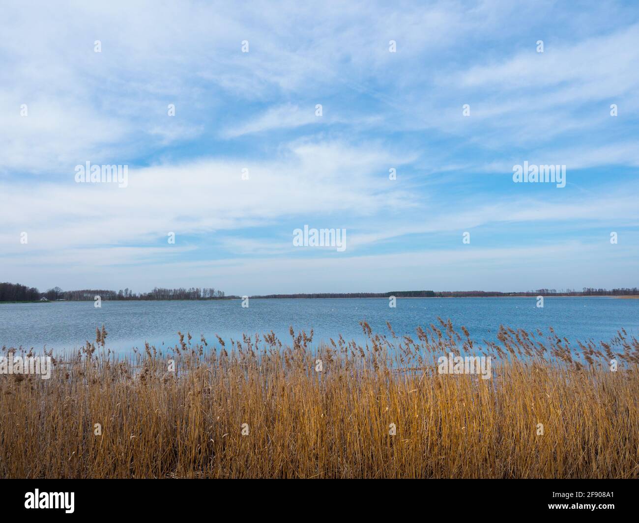 Una vista sul lago Krzczeń che prende vita dopo l'inverno. Łęczyńsko Włodawskie Lake District Foto Stock