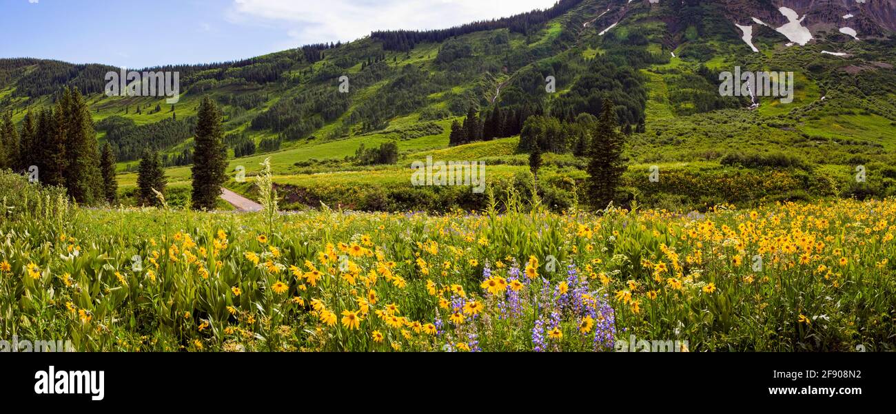 Montagne e colline, Crested Butte, Colorado, Stati Uniti Foto Stock