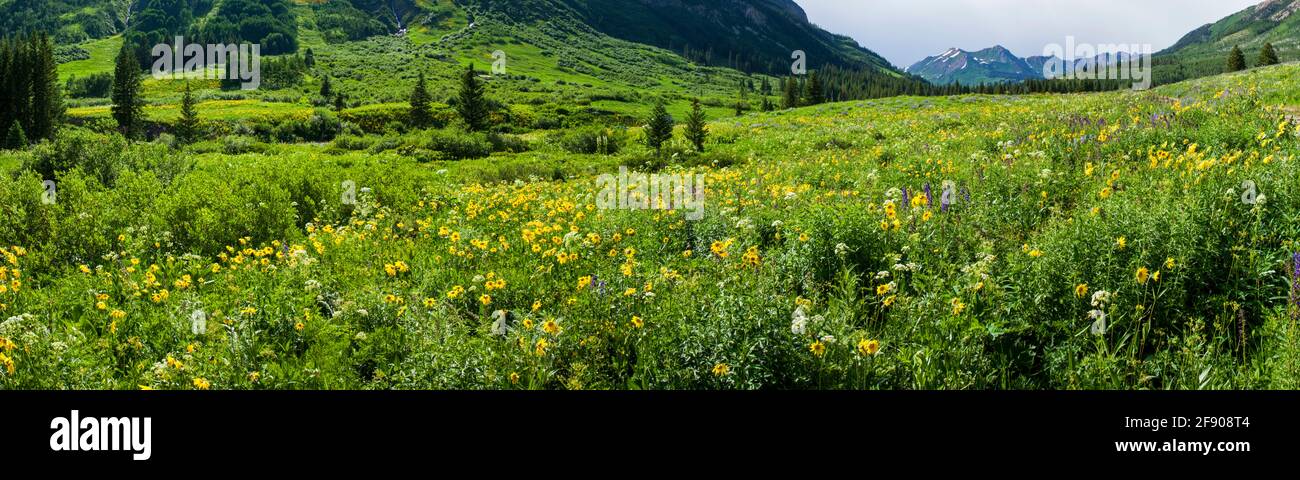 Montagne e colline, Crested Butte, Colorado, Stati Uniti Foto Stock